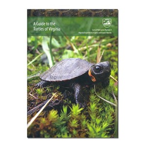 turtle-guide