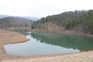 Johns Creek Dam #3 on Mudlick branch